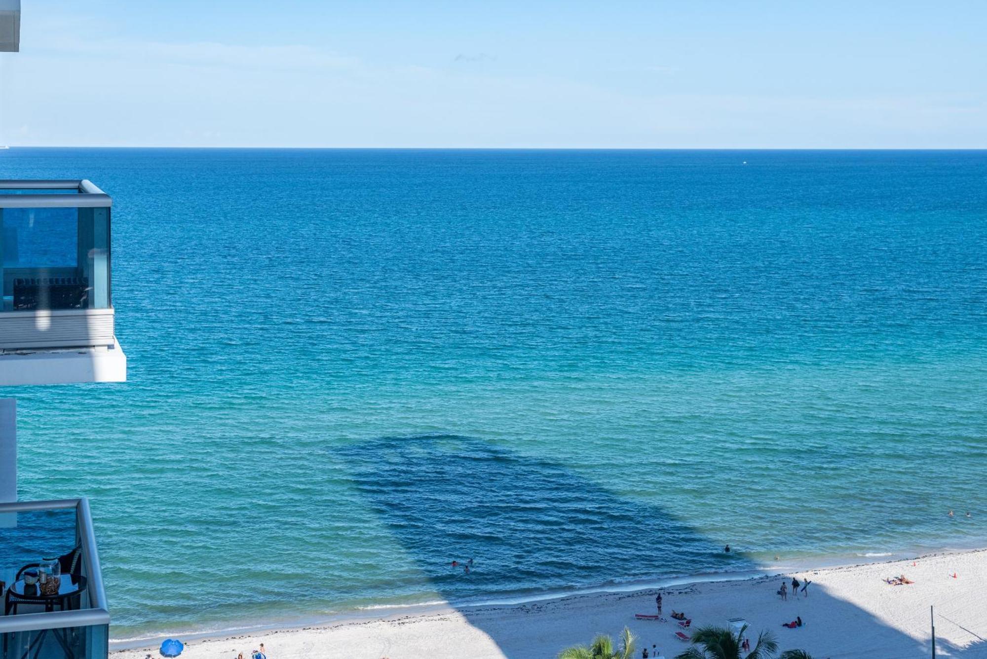 Bluebird Suites Monte Carlo Miami Beach Pokoj fotografie